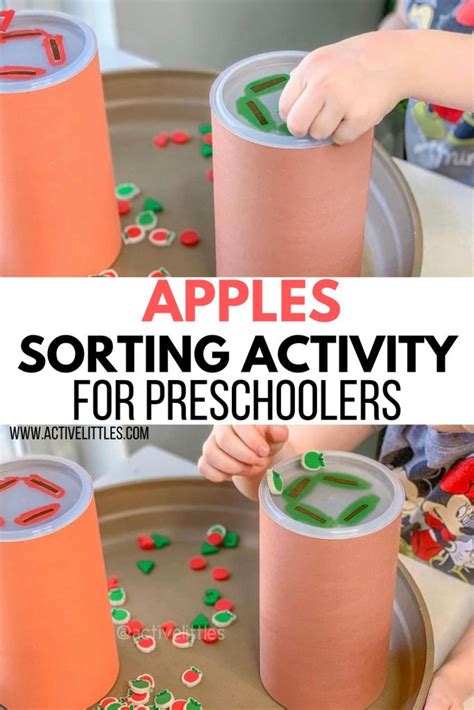 Apples Sorting Activity For Preschoolers Active Littles Preschool