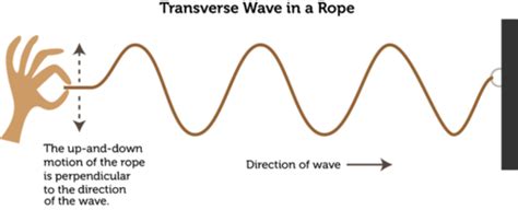An Introduction To Waves An Introduction To Waves