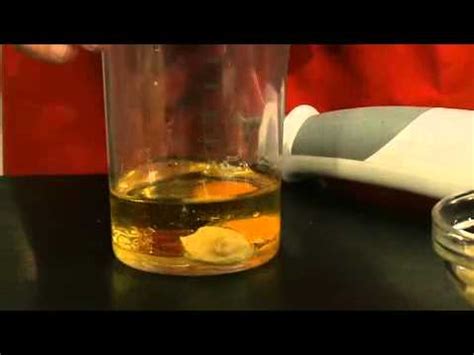 Das ei aufschlagen und in einen hohen behälter einfließen lassen. Rezept Blitz-Mayonnaise - YouTube