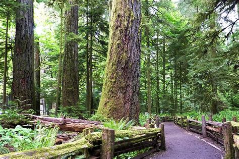 Macmillan Provincial Park British Columbia Travel And Adventure Vacations