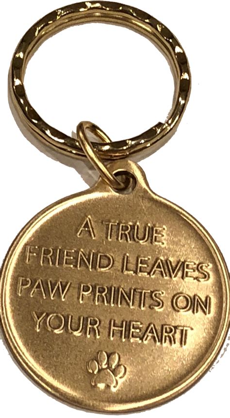 Crazy Dog Lady A True Friend Dog Pet Keychain Bronze Recoverychip De