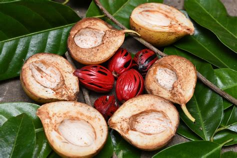 What Does Nutmeg Taste Like The Delicate Spice Love Backyard