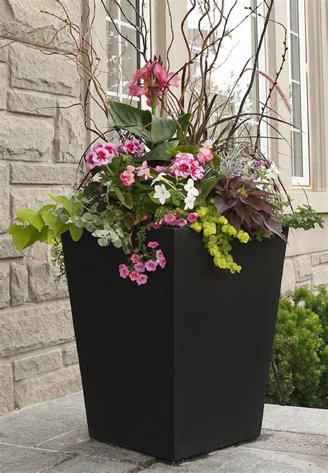 20 Best Plants For Tall Planters Decoomo