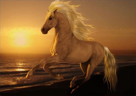 Golden Sunset By Sylki51 On Deviantart Fantasy Horses Horses