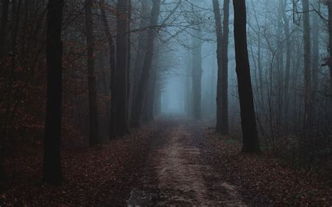 Download Wallpaper 3840x2400 Forest Fog Road Autumn Landscape 4k