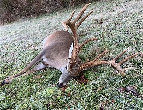 Alabama Hunters Bagging Big Bucks This Season Outdoor Alabama