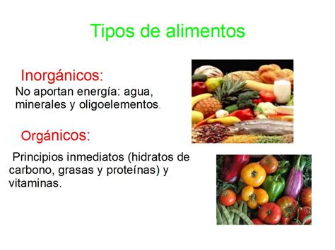 Alimentos Orgânicos E Inorgânicos