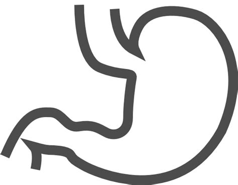 Stomach Clipart | Clipart Panda - Free Clipart Images