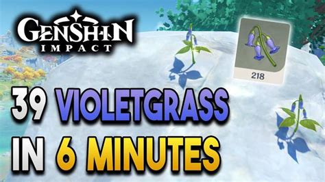 Discover The Best Locations To Gather Violet Grass In Genshin Impact