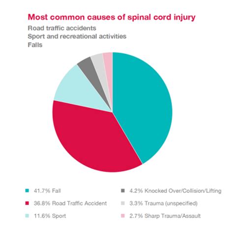 Another benefit of backbone is the ease of communicating with the server through ajax interactions. Diagram Of Common Back Bone Break - Traumatic Low Back ...