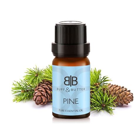 Pine Essential Oil 100 Pure Natural Fragrance Aromatherapy Etsy