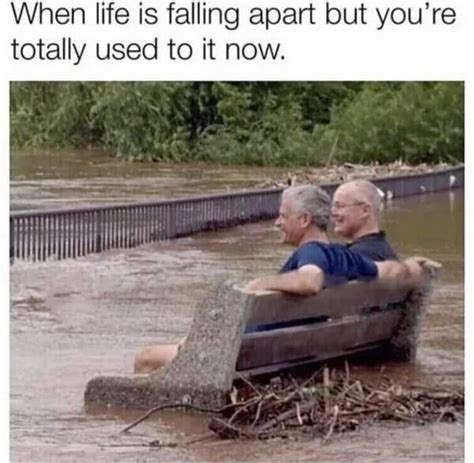 30 Funny Struggle Memes For Anyone Going Through It