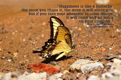 Happiness Is Like A Butterfly Butterfly Happy Chase