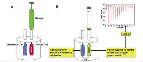 Application Of Isothermal Titration Calorimetry In The Biological