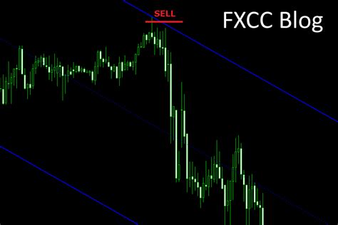 Top Forex Indicators And What They Mean Fxcc Blog