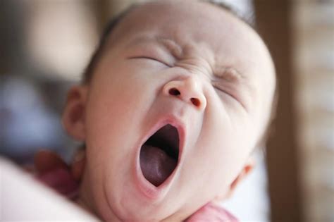 Why We Yawn And What It Means