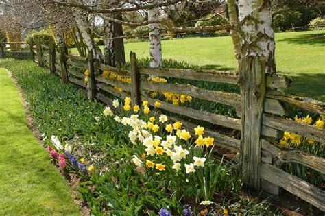 I got the idea for this fence while taking my students to colonial plantation located in ridley creek state park. 40 Beautiful Garden Fence Ideas | Rustic fence, Rustic ...