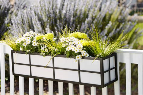 Simple Elegance Window Box Cages Choose 7 Sizes