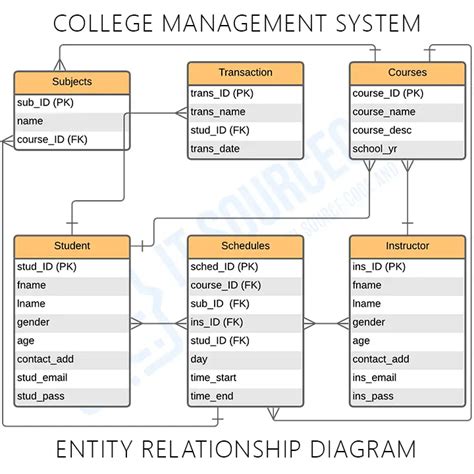 College Management System Er Diagram Entity Relationship Diagrams