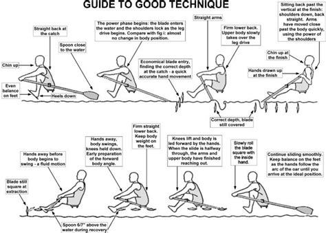 A Guide To Good Rowing Technique Rowperfect Rowing Technique