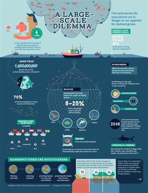 Overfishing Infographic An Infographic On Overfishing For Flickr