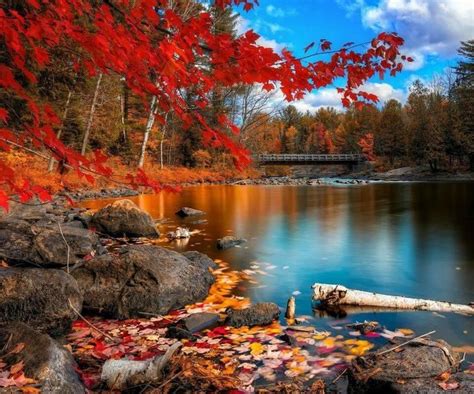 ☾moon♋ocean🌊 On Twitter Nature Desktop Scenery Wallpaper Autumn Scenery