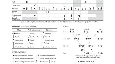 Alfabeto Fonético Internacional Definición Usos Y Gráficos Tjmbb