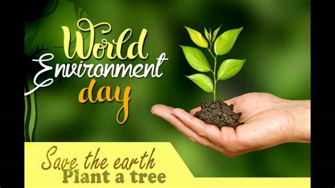 A great poster for the cause of saving trees with the catchy slogan root for trees. World Environment Day 2019: Wishes, SMS, images ...