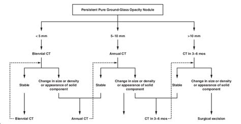 Flowchart Shows Follow Up Scheme And Guideline For Pure Ground Glass