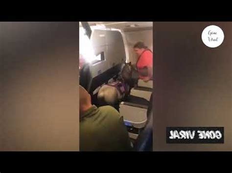 Us Woman Boards Plane With Pony Shocks Passengers Youtube