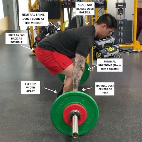Why You Should Include The Deadlift In Your Workout Routine