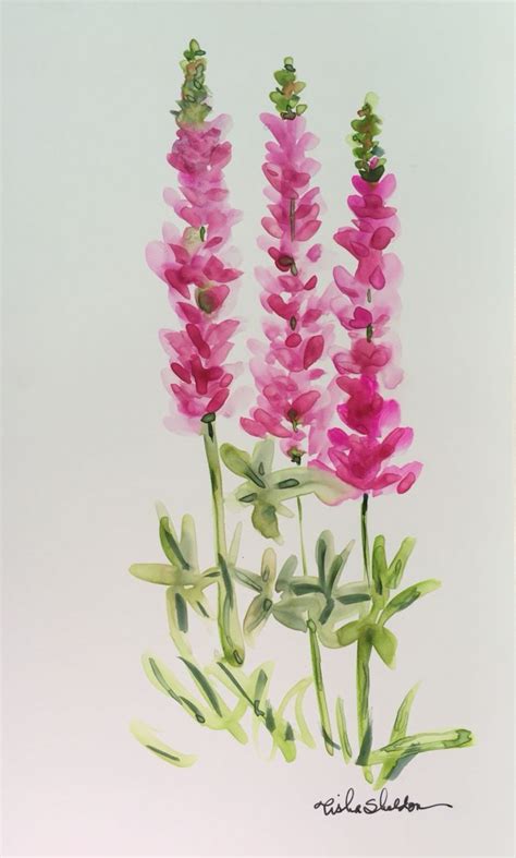 Maine Lupine On Yupo Paper Watercolor By Tisha Sheldon