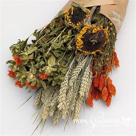 harvest mixed bunch autumnal dried flowers essentially hops