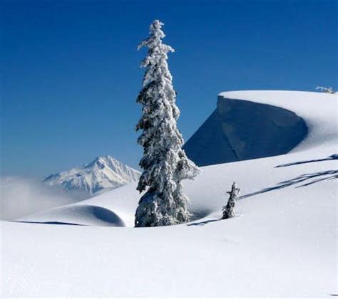 Mount Jefferson Climbing Hiking And Mountaineering Summitpost