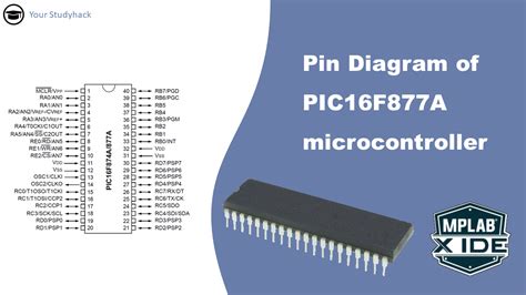Pin Diagram Of The Pic16f877a Microcontroller Your Studyhack