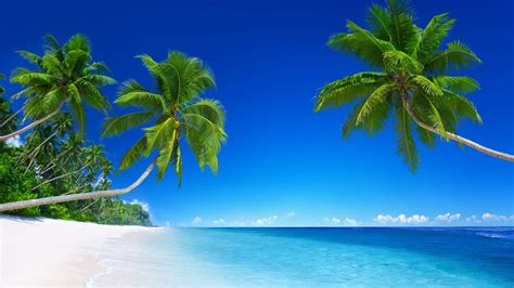 Tropical Beach Wallpapers 4k Hd Tropical Beach Backgrounds On