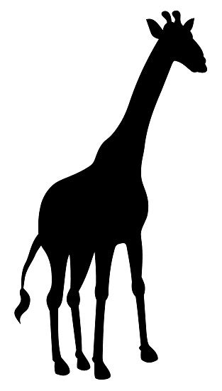 Shadow Of A Giraffe Stock Illustration Download Image Now Istock