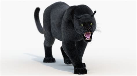 Black Panther Animated Fur 3D Model 189 Max 3ds Obj Dae Fbx