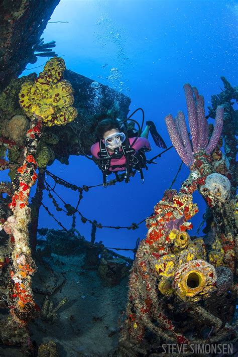 Top 10 Caribbean Islands For Scuba Diving Sport Diver
