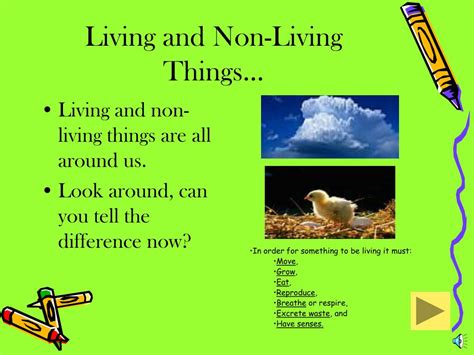 Ppt Living Organisms And Non Living Materials Powerpoint Presentation