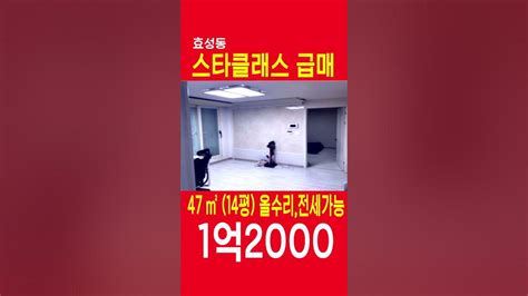 효성동빌라급매 스타클래스3층 전세도가능 급매 1억2000만원 쇼츠 Shorts Youtube