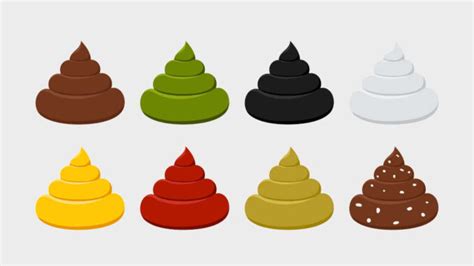 Dog Poop Color Chart A Vet Explains The Meaning Of Colors