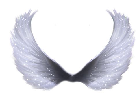 Angel Wings Png