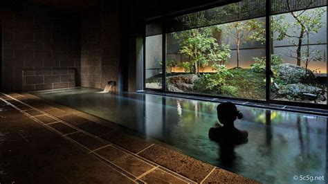15 Best Onsen Hotels And Ryokans In Tokyo For 2024 With Private Onsen Or Natural Hot Spring