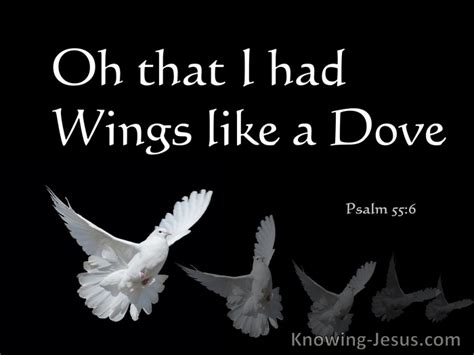 30 Bible Verses About Doves