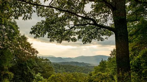 Great Smoky Mountains National Park In United States Of America Tours