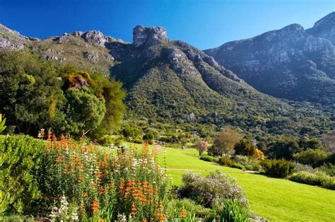 Kirstenbosch Gardens Entrance Fee Foreign Nationals Cape Town