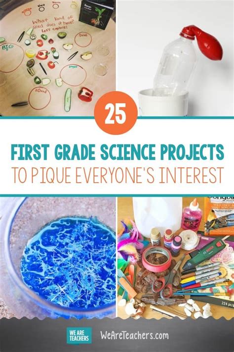 30 First Grade Science Projects To Pique Everyone S Interest First Grade Science Projects