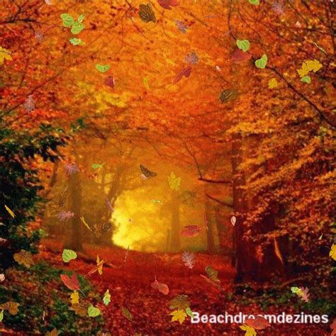 Animated  Autumn Scenery Fall Pictures Beautiful Nature