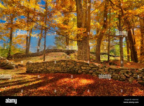 Stone Wall New England Hi Res Stock Photography And Images Alamy